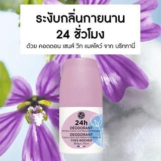 อีฟ โรเช Yves Rocher 24H Deodorant Cotton Scent With Mallow From Brittany 50 มล. โรลออน ระงับกลิ่นกาย 24 ชั่วโมง