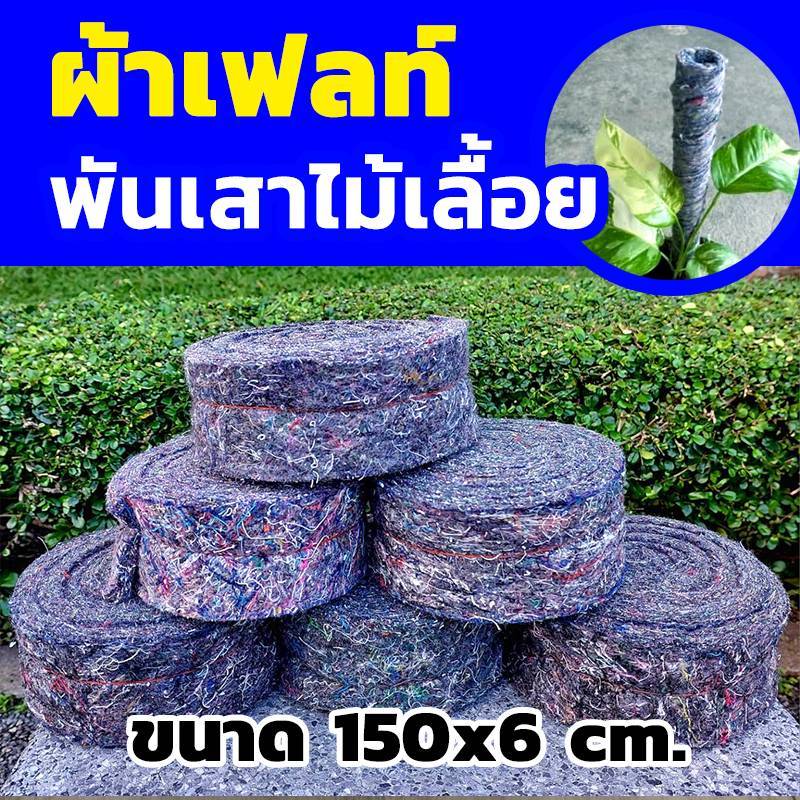 ผ้าเฟลท์พันเสาร์ไม้เลื้อย ขนาด6x150ซม.หนา10มิล