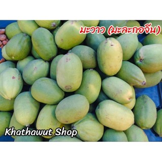 มะวาว​ หรือ​ มะละกอจีน กก.ละ​ 130​฿