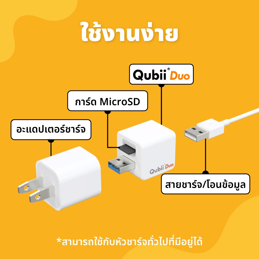 รูปภาพ 5