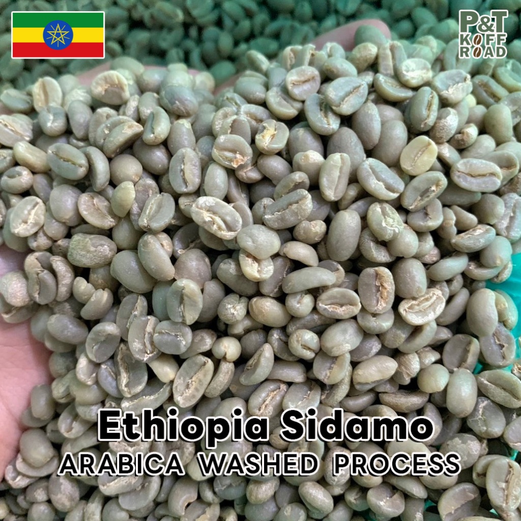 [พร้อมส่ง] สารกาแฟอราบิก้าเอธิโอเปีย Ethiopia Sidamo Daye Bensa G2 500g -1 kg. P&T KoffRoad .สั่งซื้