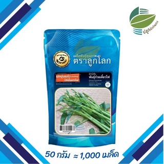 เมล็ดพันธุ์ ผักบุ้งแก้ว ผักบุ้งเย็นตาโฟ ขนาด 50 กรัม