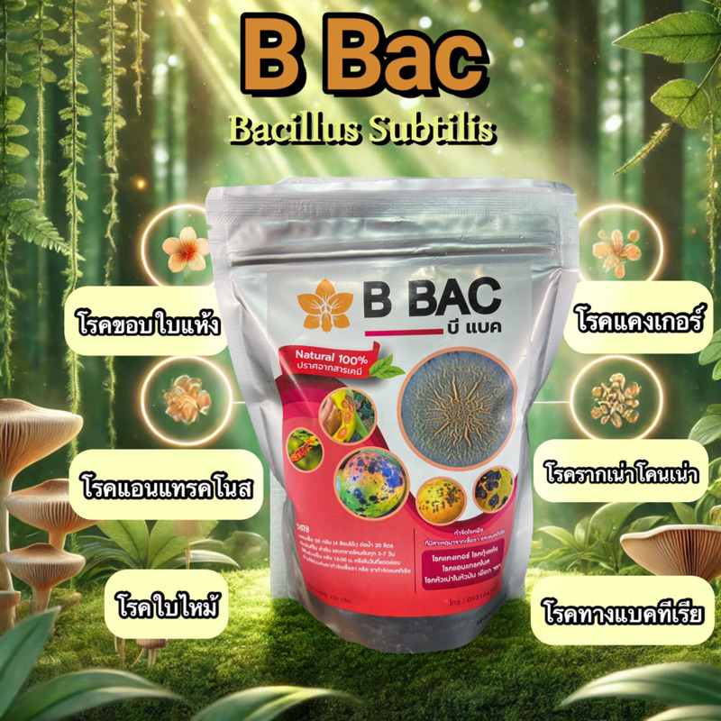 B BAC (บาซิลลัส ซับทิลิส) แก้โรคจากเชื้อราและแบคทีเรีย ขนาด 250กรัม แบบผง