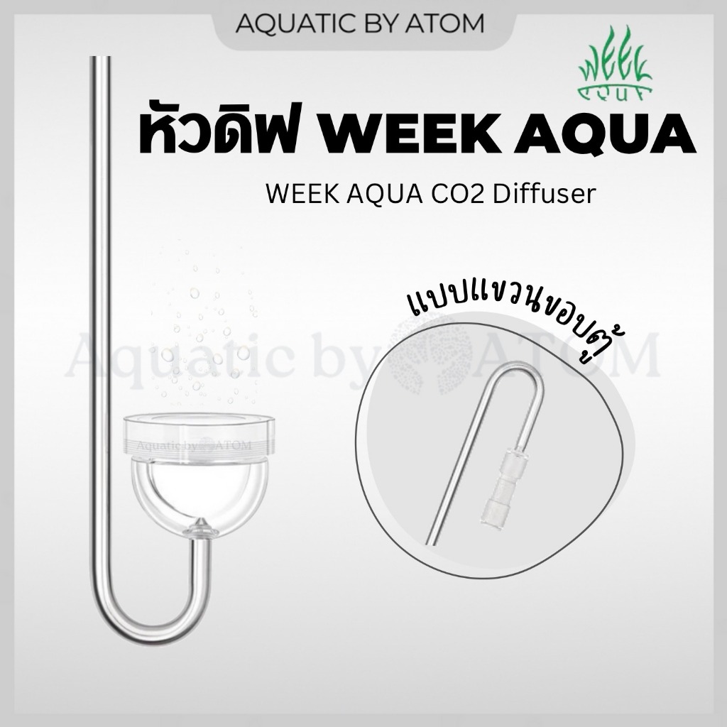 (พร้อมส่ง) หัวดิฟ CO2 สแตนเลสแบบแขวน Week Aqua CO2 Diffuser พร้อมกันย้อนในตัว