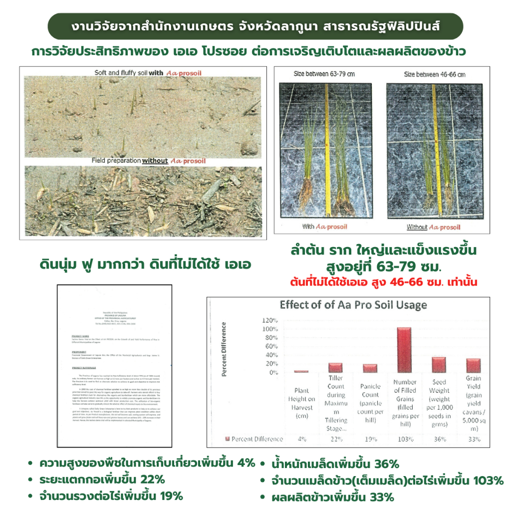 พลูโต เอเอ แบบหว่าน สำหรับพืชไร่ ผักสวนครัว ผักสลัด ไม้กระถาง พืชไร่ มันสำปะหลัง นาข้าว - รูปที่ 3