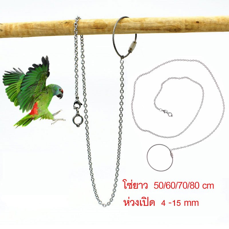 โซ่คล้องขานก ขายกับห่วงเปิด โซ่นก สแตนเลส ห่วงขานก ห่วงนก น้ำหนักเบา ขนาด 50-80ซม.