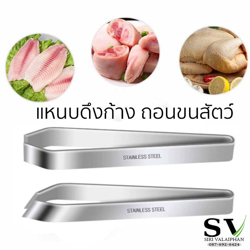 แหนบดึงก้าง ถอนขนสัตว์ ทำจากสแตนเลส อย่างดี แหนบถอนก้างปลา ที่ดึงก้างปลา ที่ถอนก้างปลา ถอนก้างปลาแซลม่อน