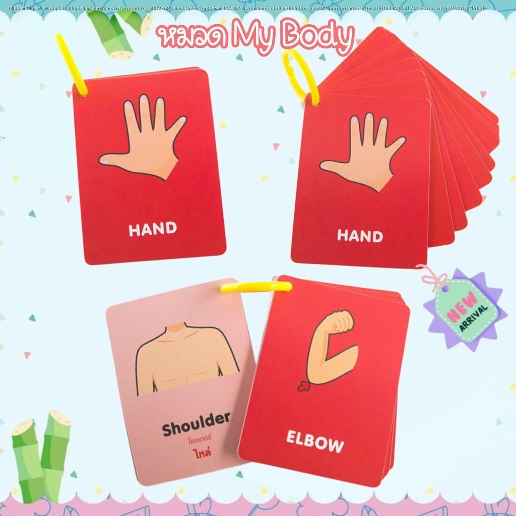 แฟลชการ์ดจิ๋ว FlashCard การ์ดภาพ หมวด ร่างกาย