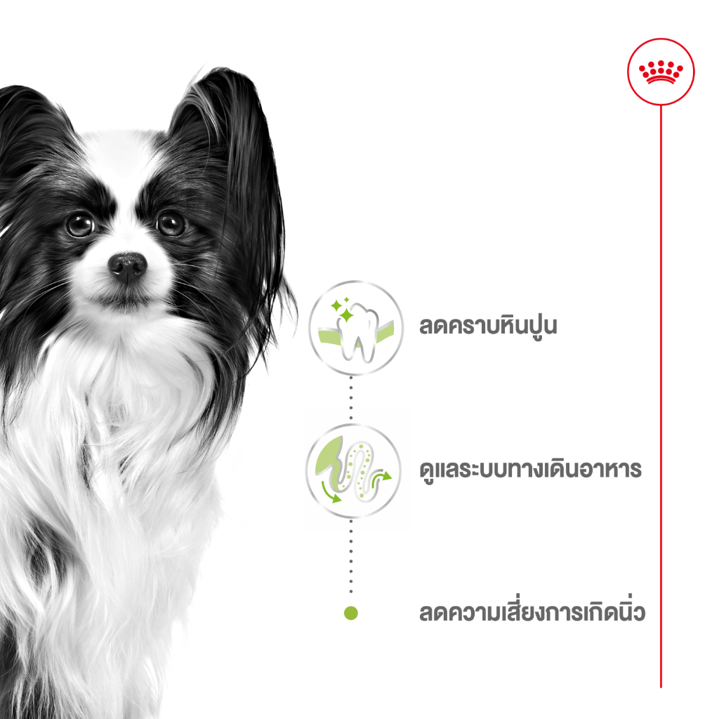 Royal Canin X Small Adult อาหารสุนัข รอยัลคานิน สุนัขโต พันธุ์จิ๋ว 10 เดือนขึ้นไป ขนาด 3kg - รูปที่ 2
