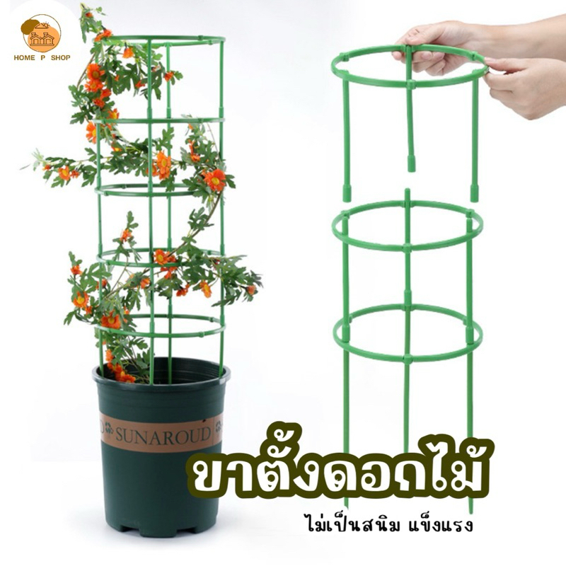 -Home P Shop- ขาตั้งดอกไม้ กรงพืช โครงเถาวัลย์ เสามะเขือเทศ ซุ้มไม้ โครงปลูก อุปกรณ์สำหรับพืชไม้เลื้อย จัดทรงต้นไม้