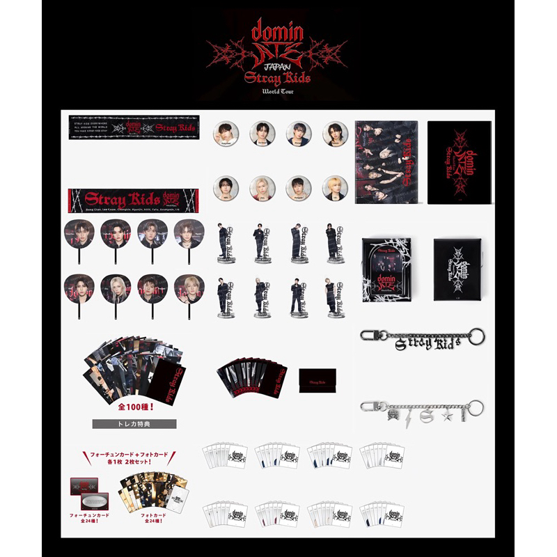 ꒰ pre order : รอบเว็บส่งกลางเดือน 4/2025 ꒱ SKZ(2) - STRAY KIDS WORLD TOUR <dominATE JAPAN>