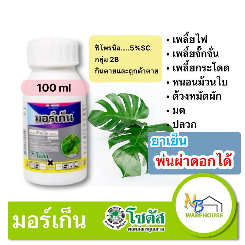 (100 cc) มอร์เก็น กำจัดแมลง, เพลี้ย, กำจัดมด -ปลวก-หนอน - ฟิโฟรนิล โซตัส 0012