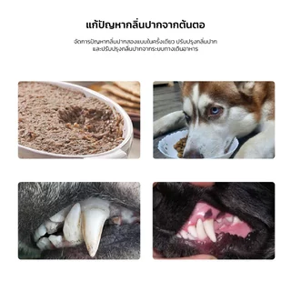 KUMOO PET น้ำยาบ้วนปาก สำหรับสัตว์เลี้ยง ลดคราบหินปูน ช่วยลดกลิ่นปาก
