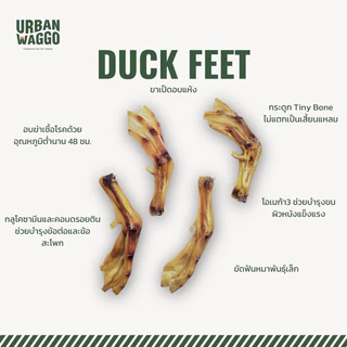 ขาเป็ดอบแห้ง Duck Feet ตีนเป็ดอบแห้ง ขนมขัดฟันสุนัข ขนมสุนัข Urban Waggo