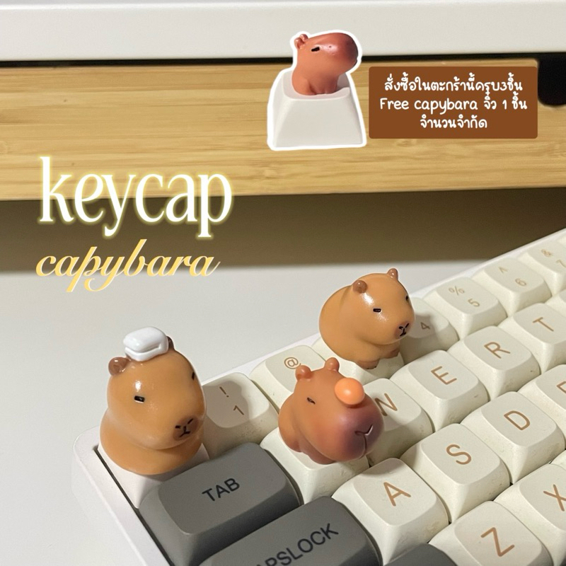 [keycaps] คีย์แคป Capybara สำหรับ Mechanical Keyboard