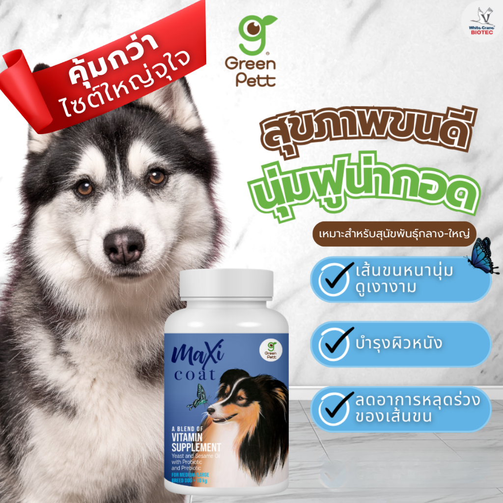 MaxiCoat ผลิตภัณฑ์เสริมอาหารบำรุงเส้นขนและผิวหนัง สำหรับสุนัขพันธุ์ใหญ่ ขนาด 250 กรัม