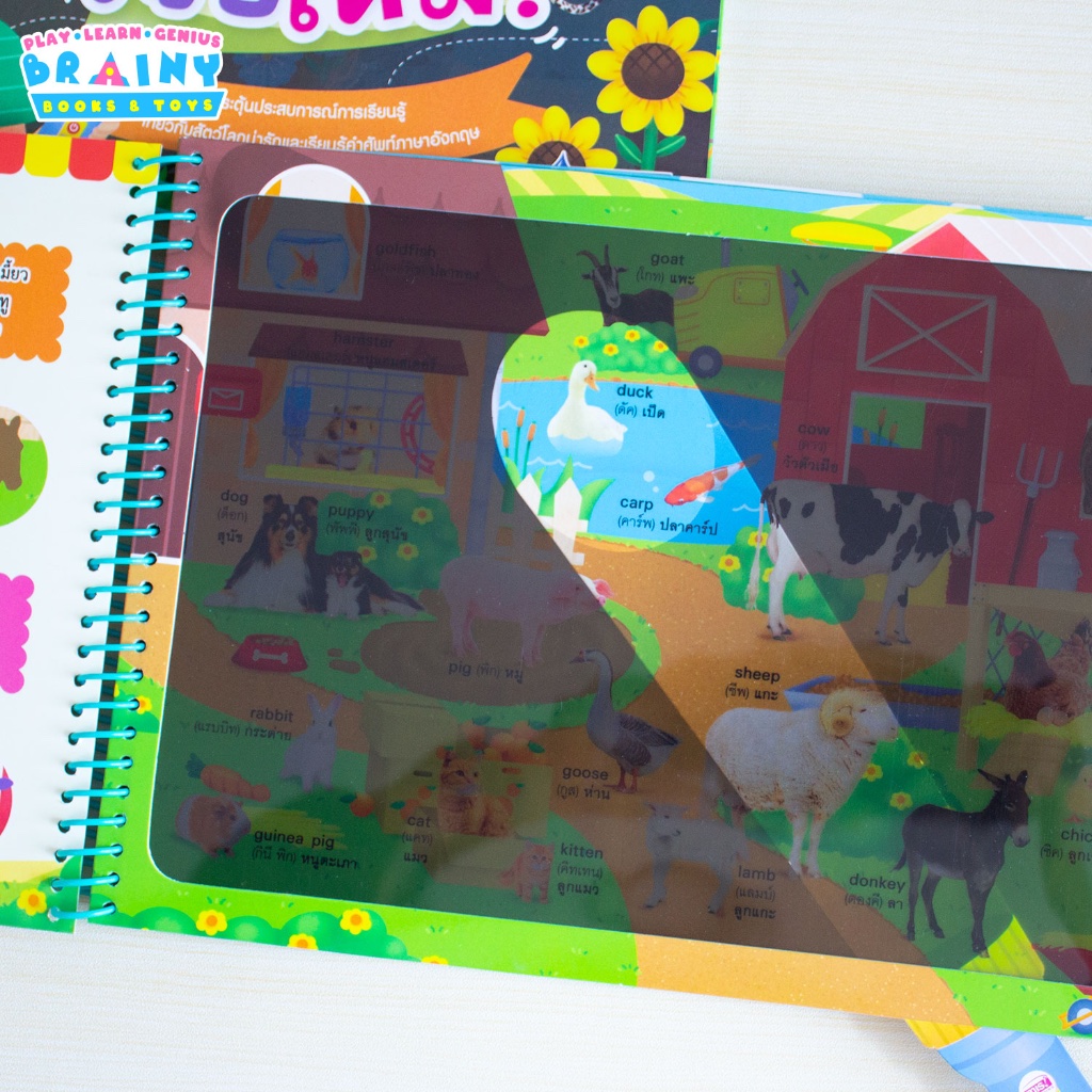 BrainyToys หนังสือส่องไฟฉายท่องโลกกว้าง 100 First Animals หาเพื่อนของฉันเจอไหม? - รูปที่ 7