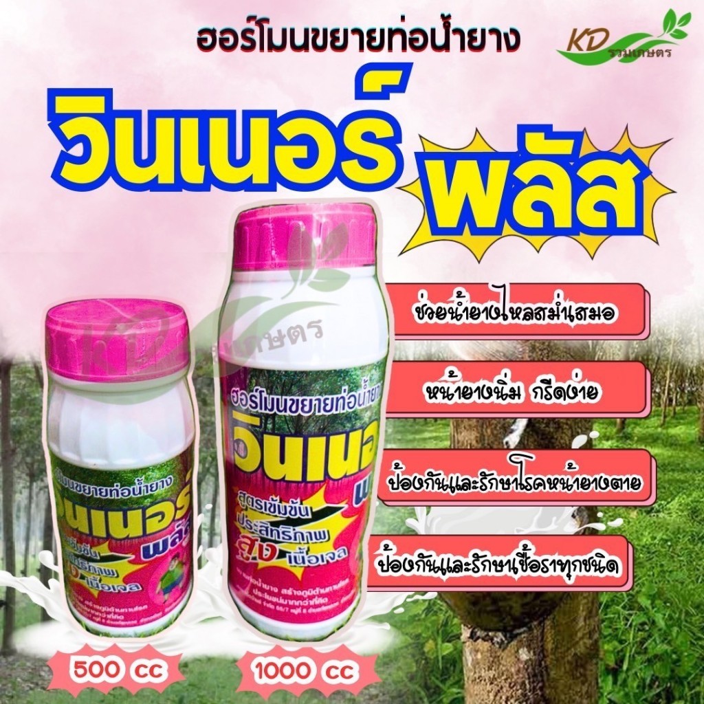 วินเนอร์พลัส ฮอร์โมนขยายท่อน้ำยาง ยาทาหน้ายาง หน้ายางนิ่ม น้ำยางไหลสม่ำเสมอ