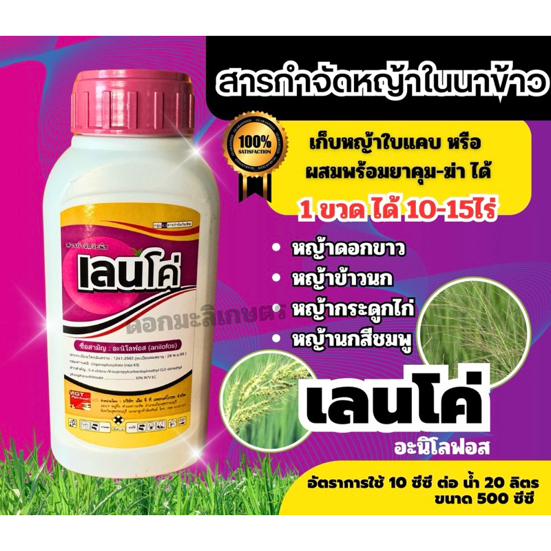 อะนิโลฟอส เลนโค่500ซีซี