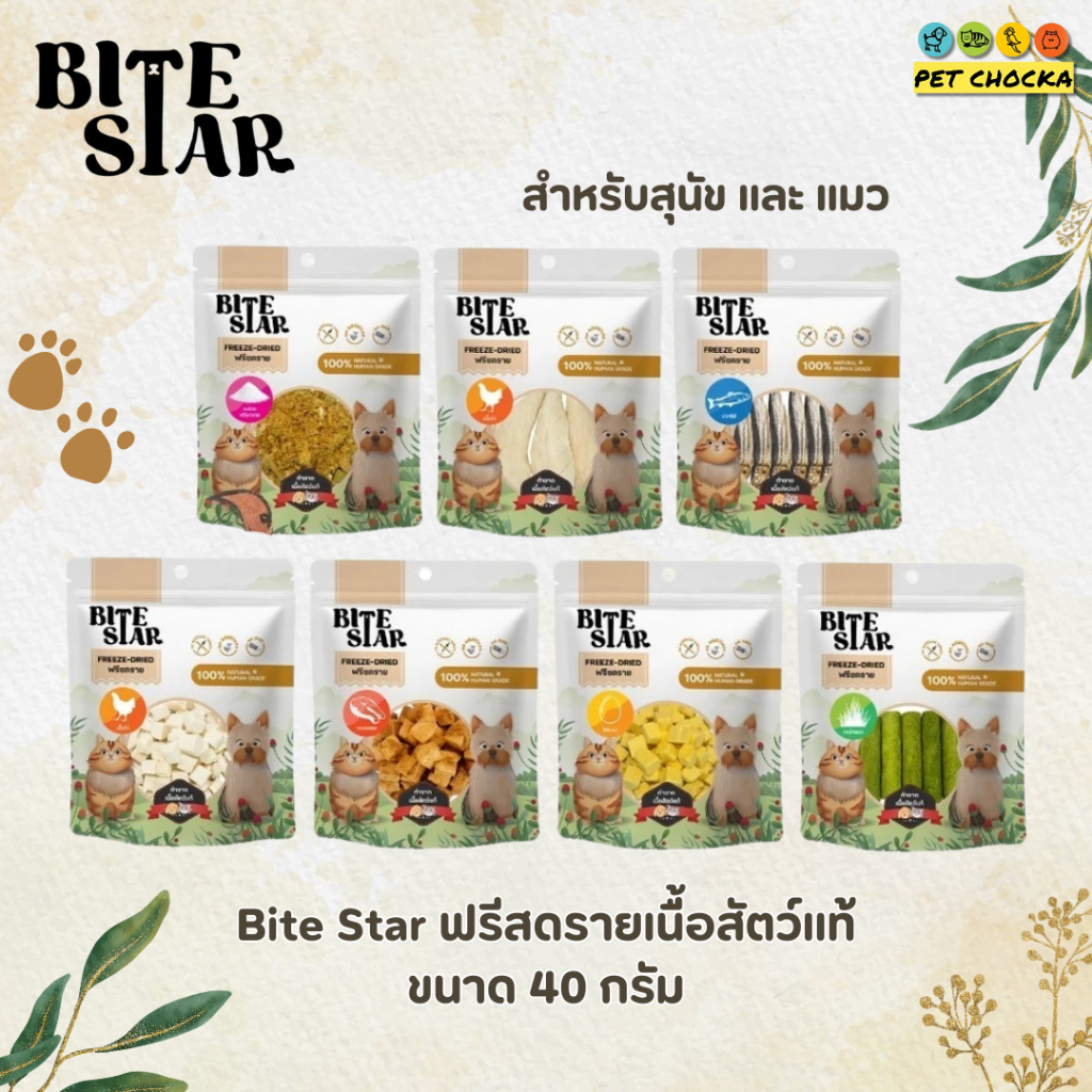 [1 ห่อ] Bite Star ขนมฟรีซดรายสัตว์เลี้ยง สุนัขและแมว Freeze Dried ชิ้น ไม่เติมเกลือ ขนาด 40 กรัม