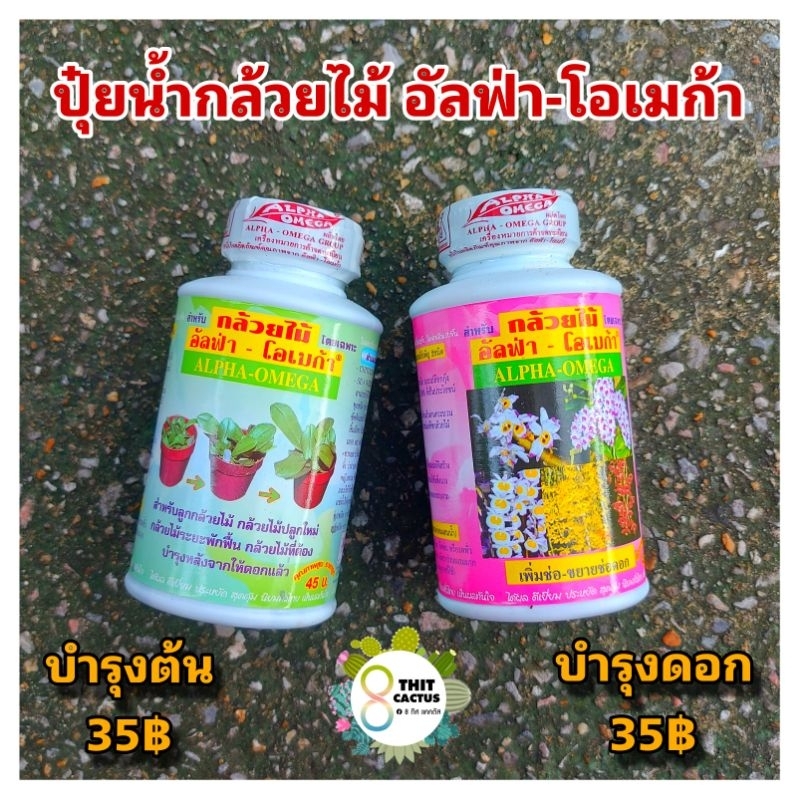 ปุ๋ยกล้วยไม้ อัลฟ่าโอเมก้า 250ml. บำรุงต้น บำรุงดอก// เร่งดอก เร่งสี กล้วยไม้