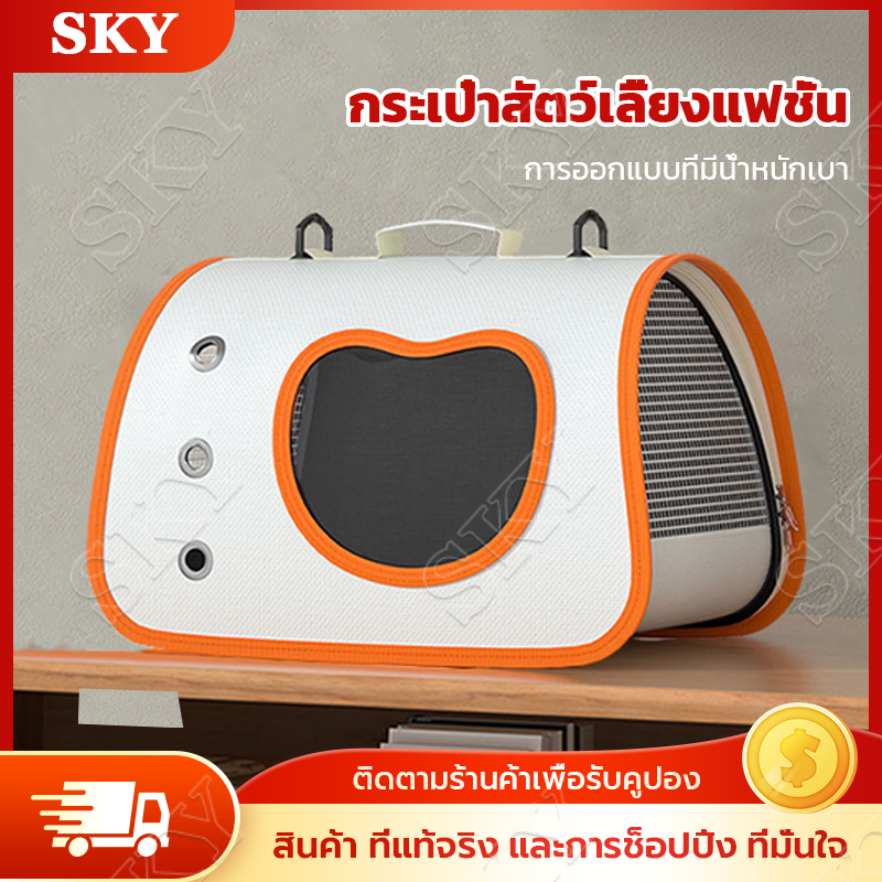 กระเป๋าเป้สัตว์เลี้ยงพับได้ ระบายอากาศดี พกพาสะดวก เลือกอย่างไรให้แมวสบาย