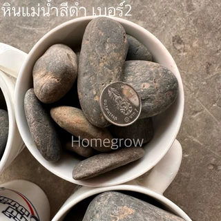 หินกรวด แม่น้ำ เทา ดำ โรยหน้ากระถาง ตกแต่งตู้ปลา