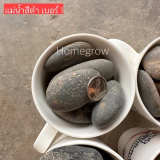 หินกรวด แม่น้ำ เทา ดำ โรยหน้ากระถาง ตกแต่งตู้ปลา