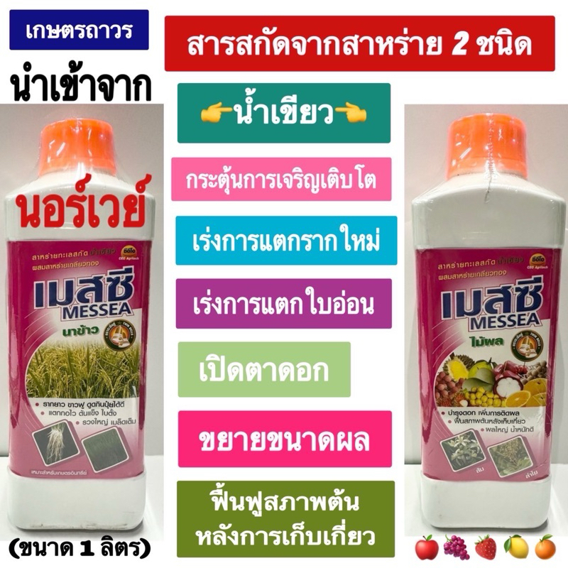 เมสซีคือสารสกัดสาหร่ายเกลียวทอง ผสมกับสาหร่ายทะเลสีน้ำตาลขนาด1ลิตร จึงอุดมไปด้วยกรดอะมิโนและธาตุอาหารหลักที่จำเป็นต่อพืช