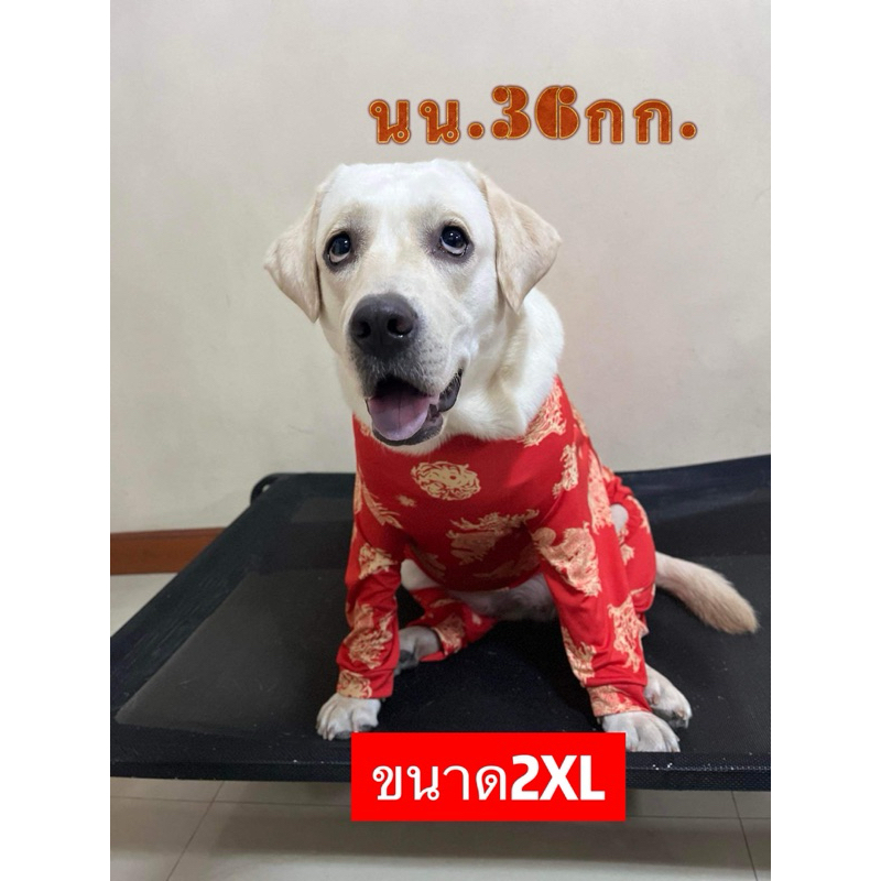 รูปภาพ 4