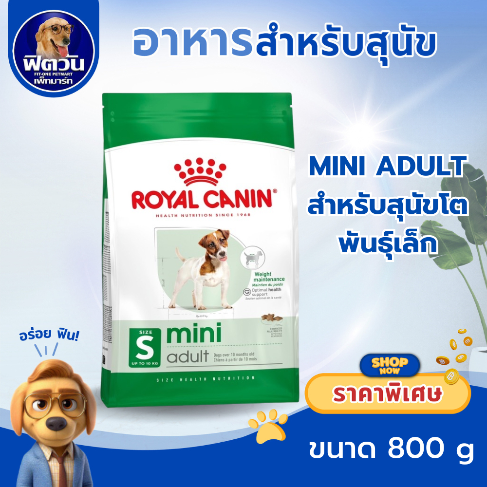 Royal Canin Mini Adult 800g อาหารเม็ดสุนัขโต พันธุ์เล็ก อายุ 10 เดือน–8ปี (Dry Dog Food, โรยัล คานิน)