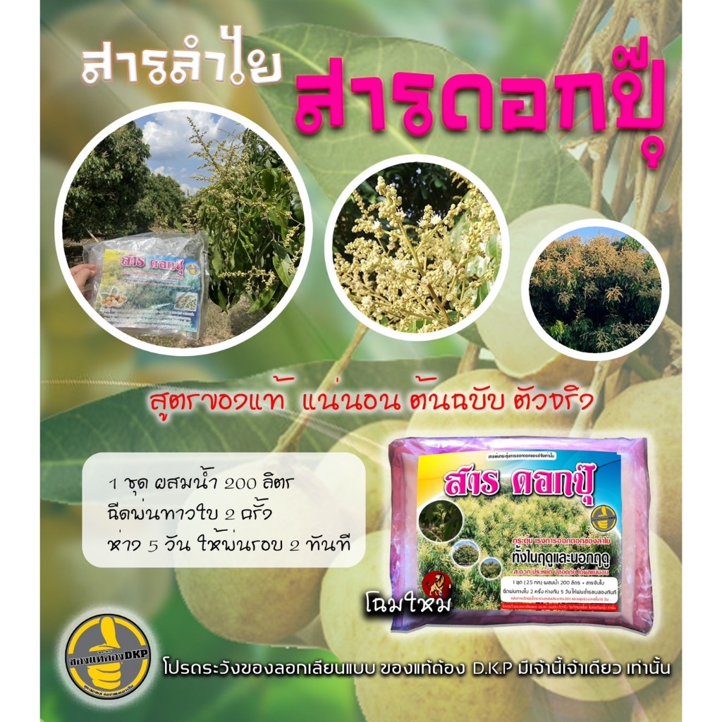 สารเร่งออกดอกลำไย รับประกันแทงช่อดอก #สารดอกปุ๊# สูตรของแท้DKP เท่านั้น ของแท้มีเจ้านี้เจ้าเดียว