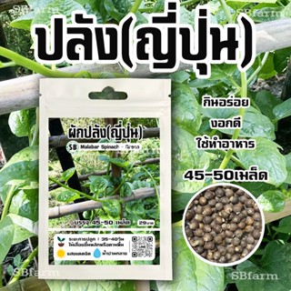 ผักปลังญี่ปุ่น 40-50เมล็ด - Malabar Spinach - Green 🔥โปรโมชั…