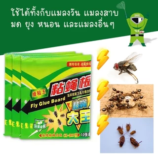 กาวดักแมลงวัน รุ่นพลาสติก ต่อ 1 แผ่น แผ่นดักแมลง แมลงวันกาวดักแมลงวัน แผ่นกระดาษ สินค้าพร้อมส่งจากไทย แพ็คเกจอย่างดี🦟