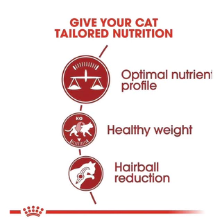 Royal Canin Fit (แบ่งขาย) อาหารแมวโตเลี้ยงปล่อย ชนิดเม็ด
