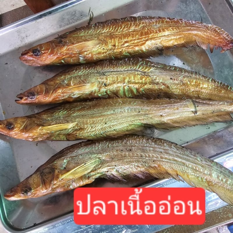 ปลาเนื้ออ่อน(ปลาแดง) ย่างรมควัน ริมเขื่อน ปลาแม่น้ำป่าสัก (20-25/กิโลกรัม) ใหม่ๆจากเตา