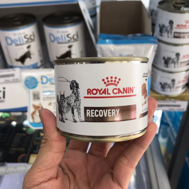 อาหารเปียก พักฟื้น หมาป่วย แมวป่วย Royal canin recovery 295g