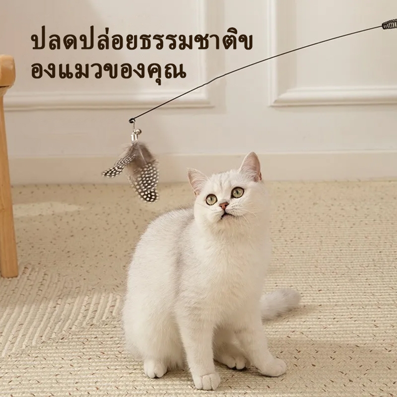 ของเล่นแมว ไม้ตกแมว ไม้ตกแมวแบบสปริง ไม้แมวตั้งพื้นขนนก ไม้ล่อแมว ไม้แหย่แมว