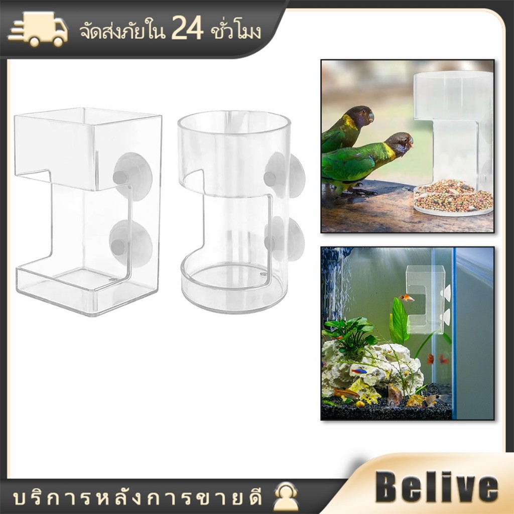 1ชิ้น แหวนให้อาหารปลากัด ทรงกลม สี่เหลี่ยม  เครื่องป้อนปลา แบบลอยน้ำ