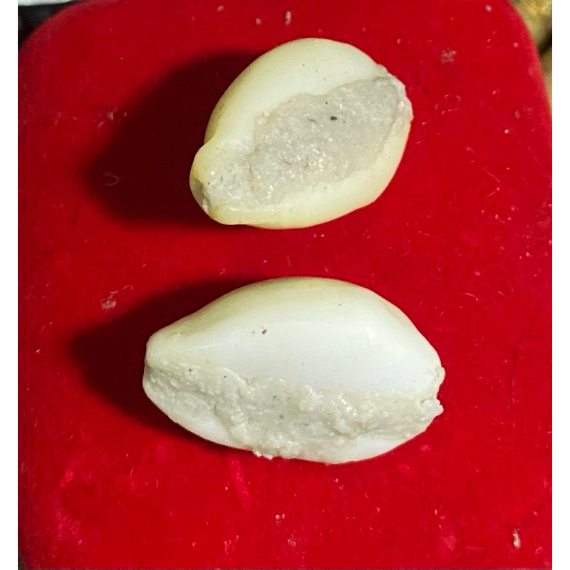 เบี้ยจั่น อุดชันณรงค์หรือขี้สูด ผสมอีพ็อกซี่ บรรจุปรอท