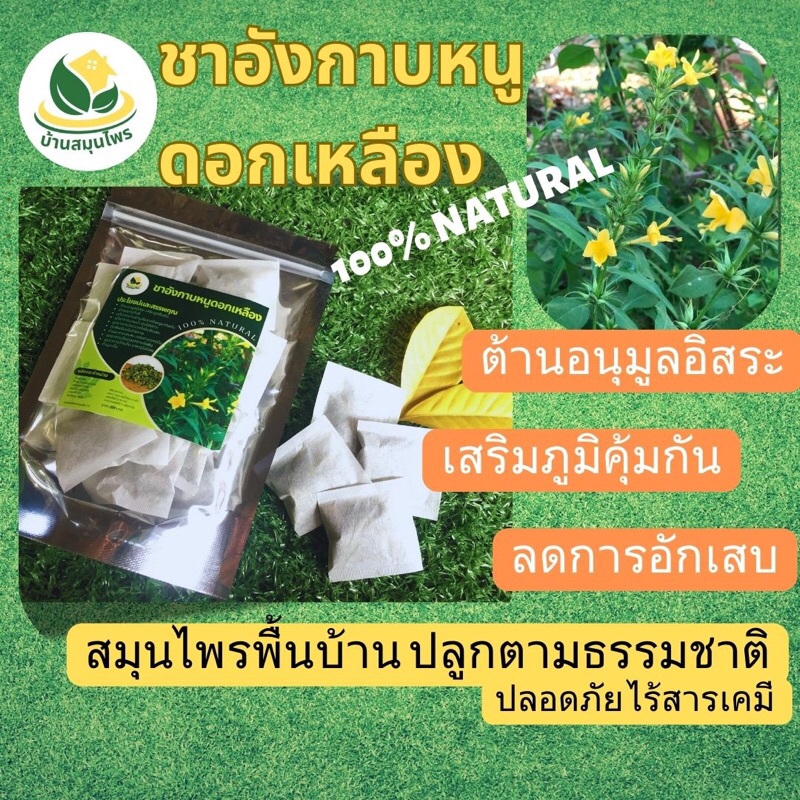 ชาอังกาบหนู ดอกเหลือง ชาอังกาบหนูตากแห้ง ต้านมะเร็ง ปลูกตามธรรมชาติ ไม่ใช้ยาฆ่าแมลง และสารเคมี บรรจุ 30 ซอง มีราคาขายส่ง