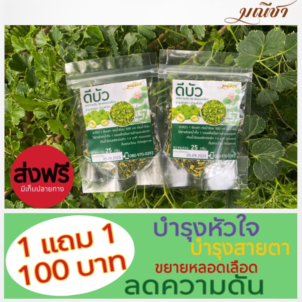 ดีบัวแห้ง ขนาด 25 กรัม 1แถม1