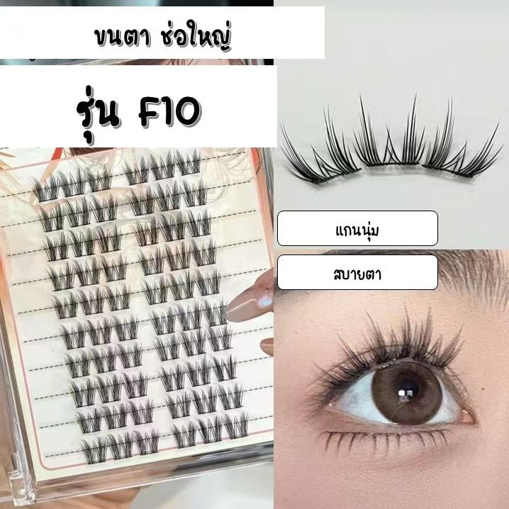 ขนตาช่อใหญ่ F10 ตัวใหม่ ธรรมชาติ