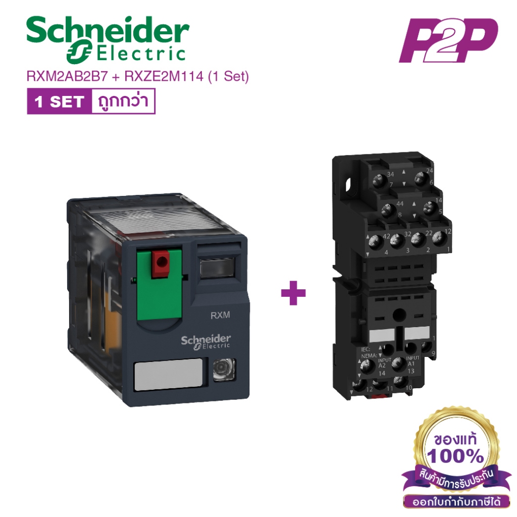RXM2AB2B7 + RXZE2M114 (1 Set) : รีเลย์พร้อมฐานเสียบ 2 คอนแทค 12A 24VAC ไฟ LED แสดงสถานะ - Schneider 