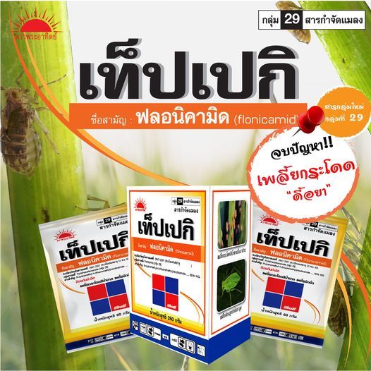 เท็ปเปกิ 250 กรัม : ฟลอนิคามิด (flonicamid) 50% WG สารป้องกันกำจัดพลี้ยกระโดดสีน้ำตาลในข้าว เพลี้ยจักจั่นฝ้าย เพลี้ยอ่อน - รูปที่ 2