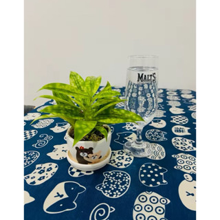 ผ้าปูโต๊ะยางพาราลายน่ารัก