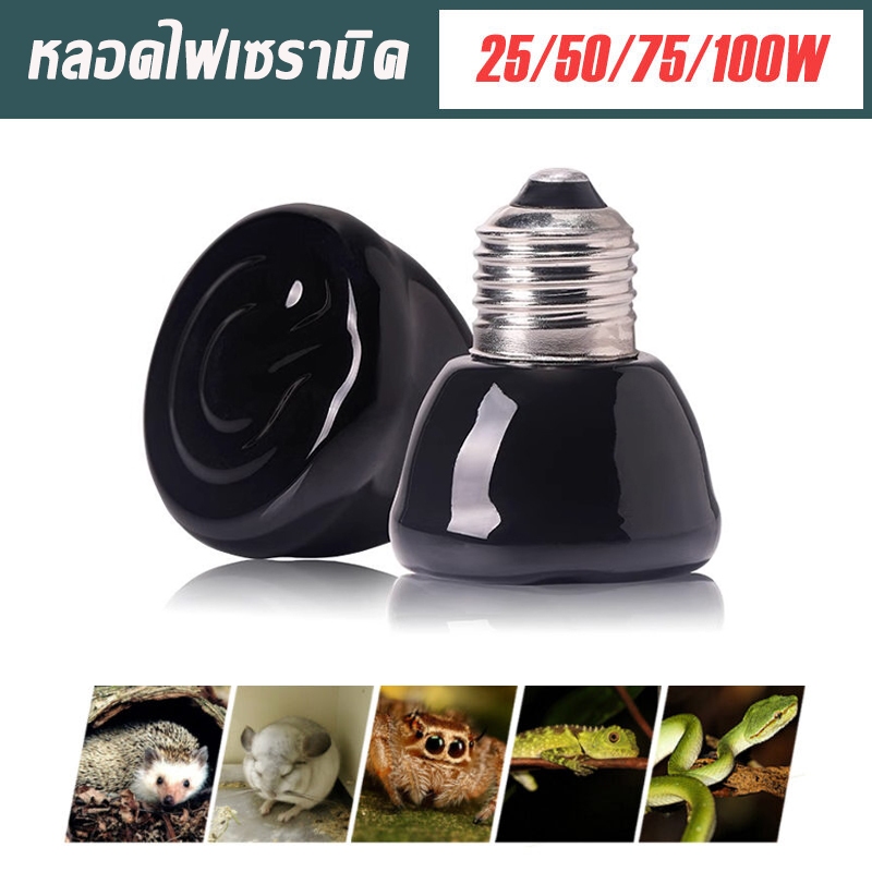 หลอดไฟ มินิ เซรามิค ​ไม่มีแสง หลอดไฟเซรามิค​ ไฟกกลูกนก หลอดไฟให้ความร้อน ขั้วหลอดไฟมาตรฐาน E27