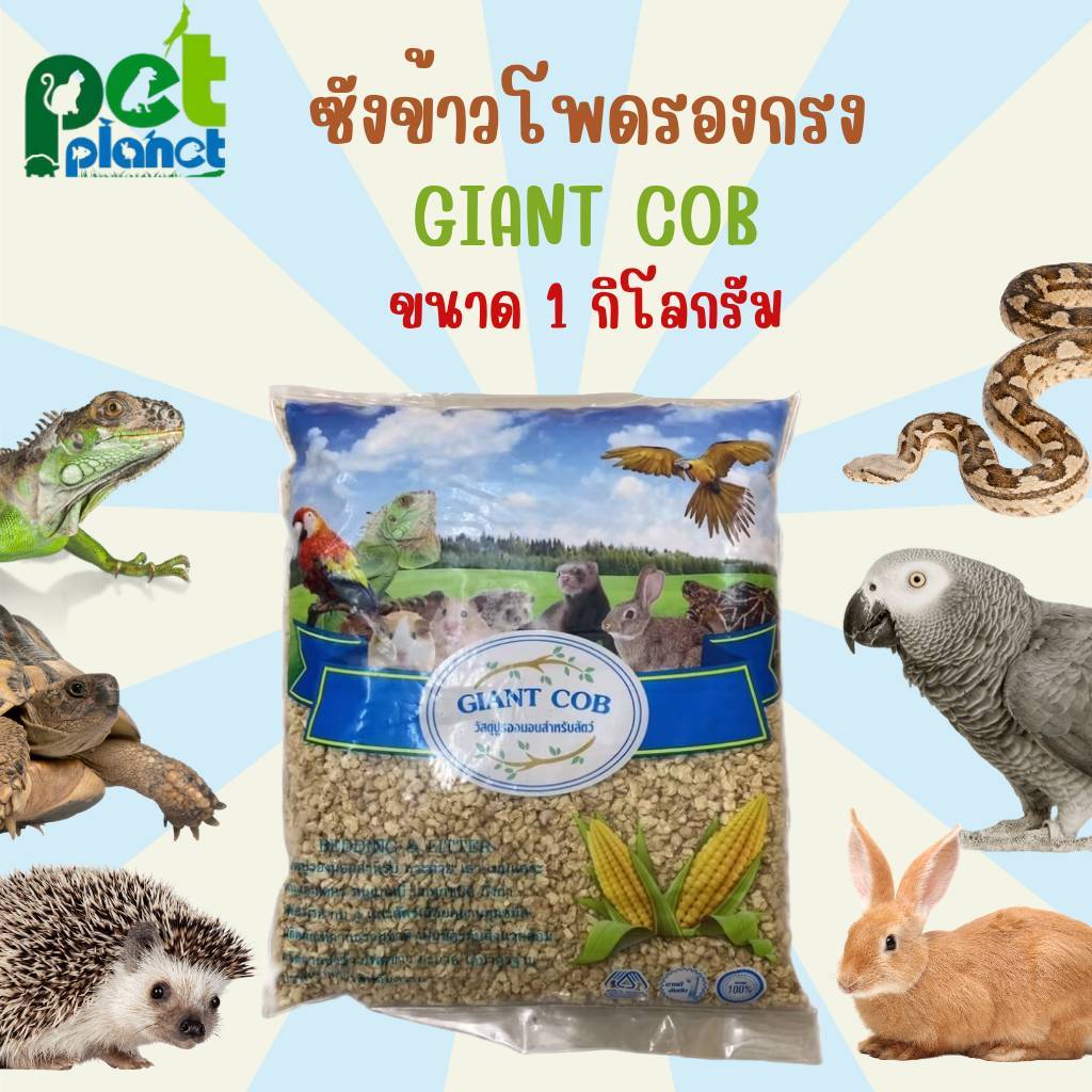 [1kg.] ซังข้าวโพดรองกรง Giant Cob (ไจแอนท์ค็อป ) วัสดุรองกรงสำหรับ สัตว์เลี้ยง ลูกนกแก้ว เต่าบก กระต่าย เม่นแคระ งู