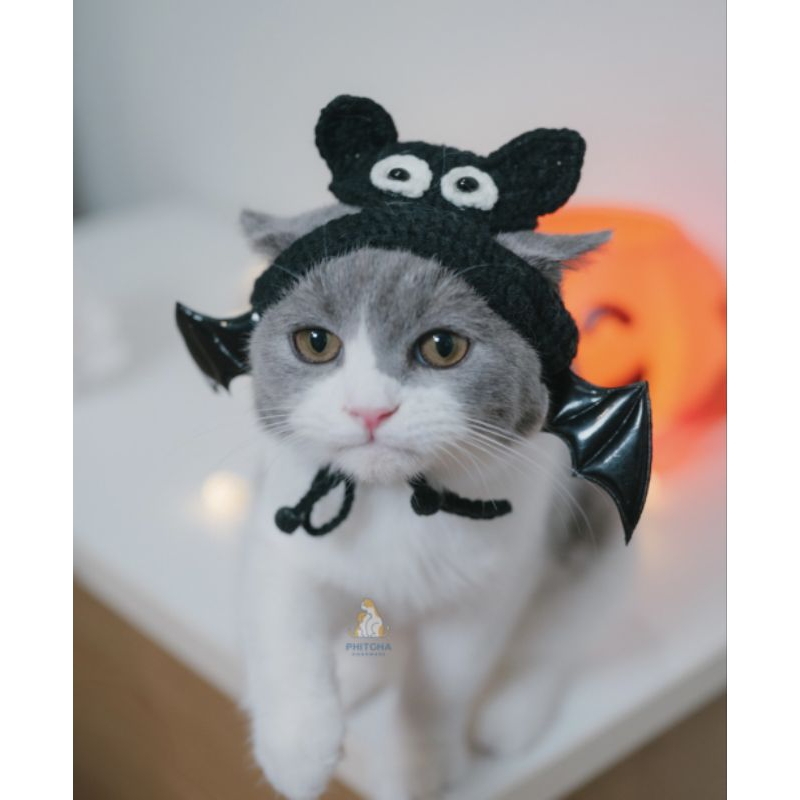 H.008 หมวกแมวฮัลโลวีน หมวกHalloween หมวกค้างคาวแมว หมวกสัตว์เลี้ยง หมวกแฟนซี