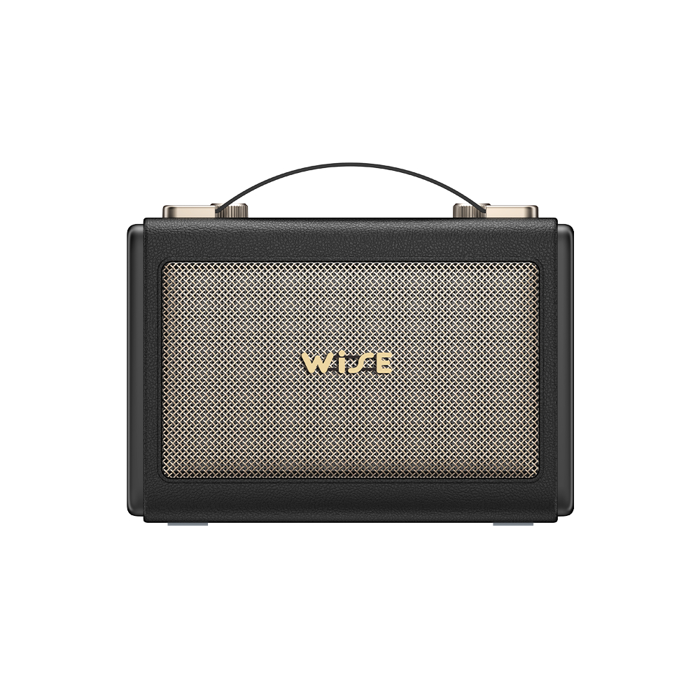 WISE OMNI DANZ II ลำโพง (WIS-000007)
